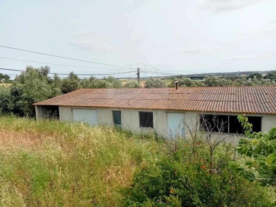 Moradia T3 para Venda em Ereira e Lapa Foto 14