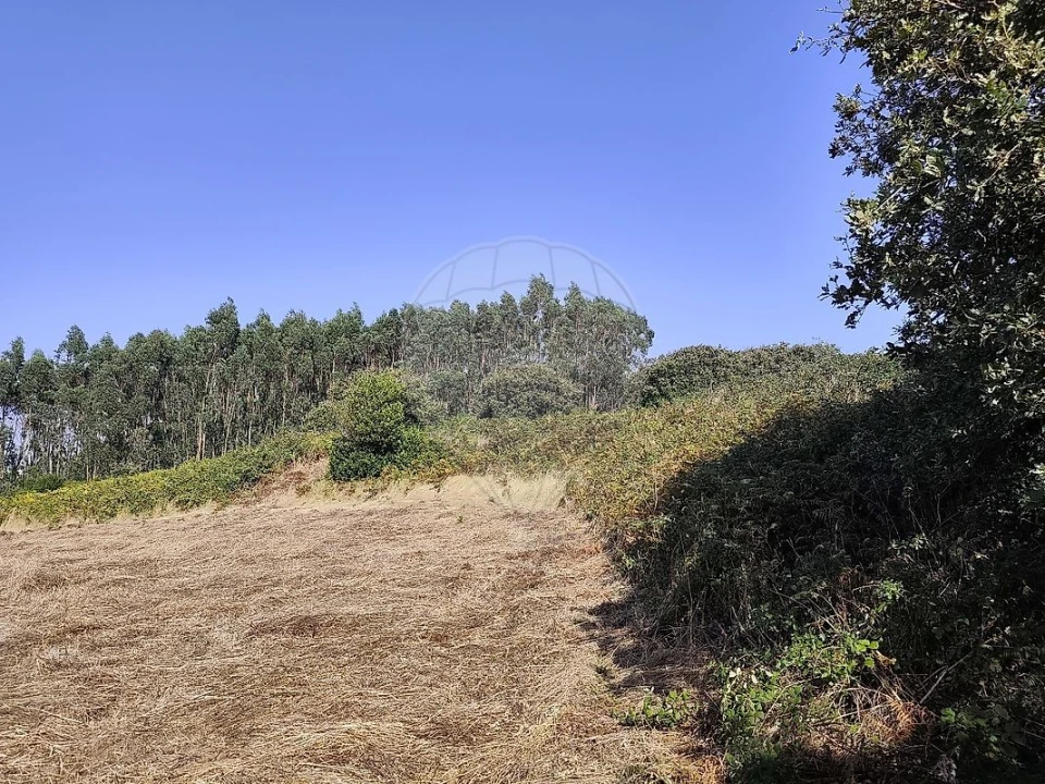 Terreno para Venda em Loures Foto 1