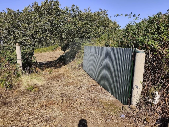 Terreno para Venda em Loures Foto 6