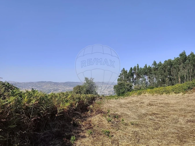 Terreno para Venda em Loures Foto 2