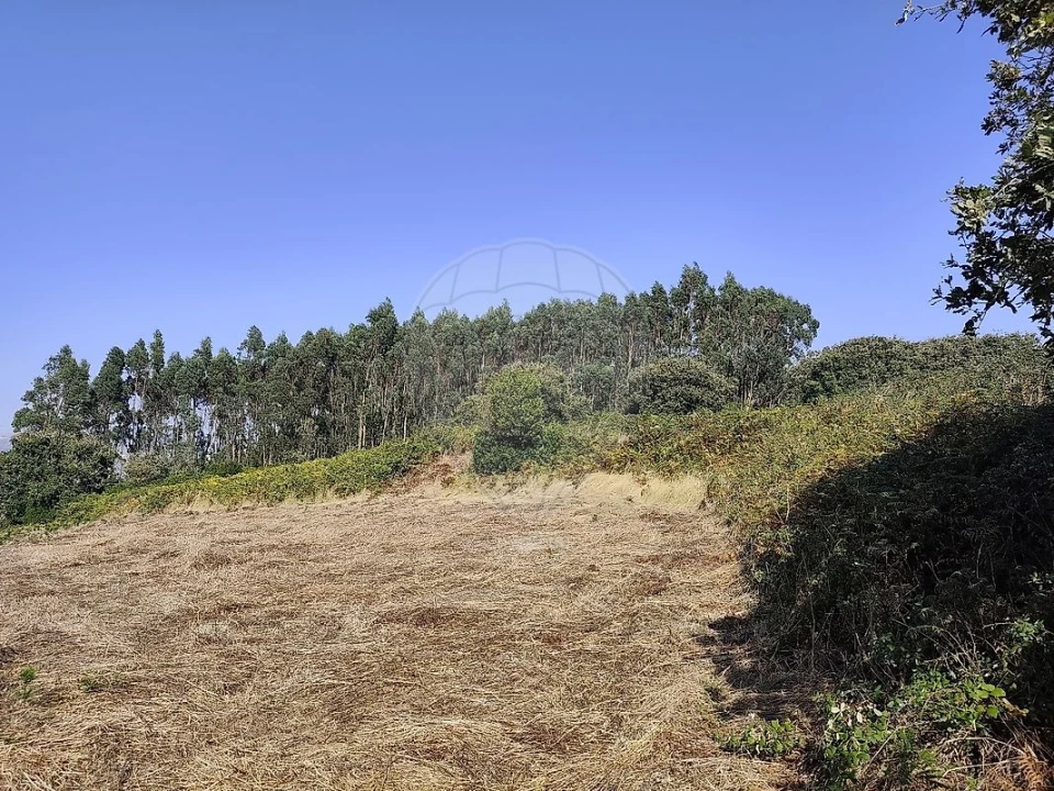 Terreno para Venda em Loures Foto 3