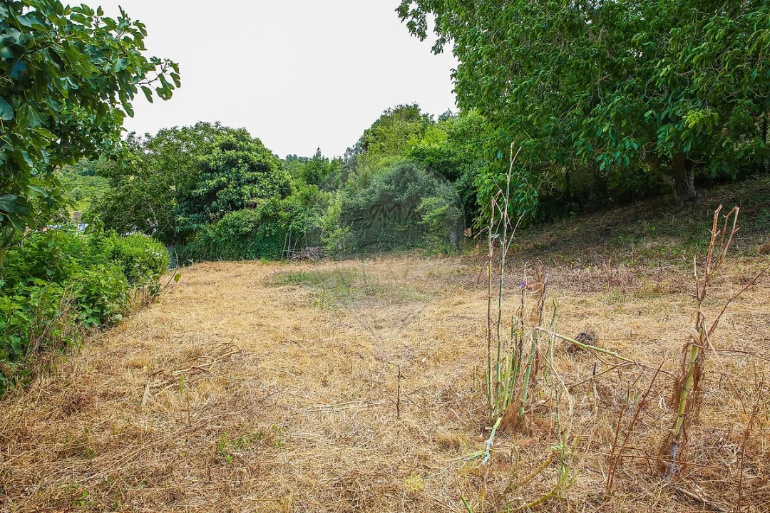 Moradia T2 para Venda em Ribafria e Pereiro de Palhacana Foto 27