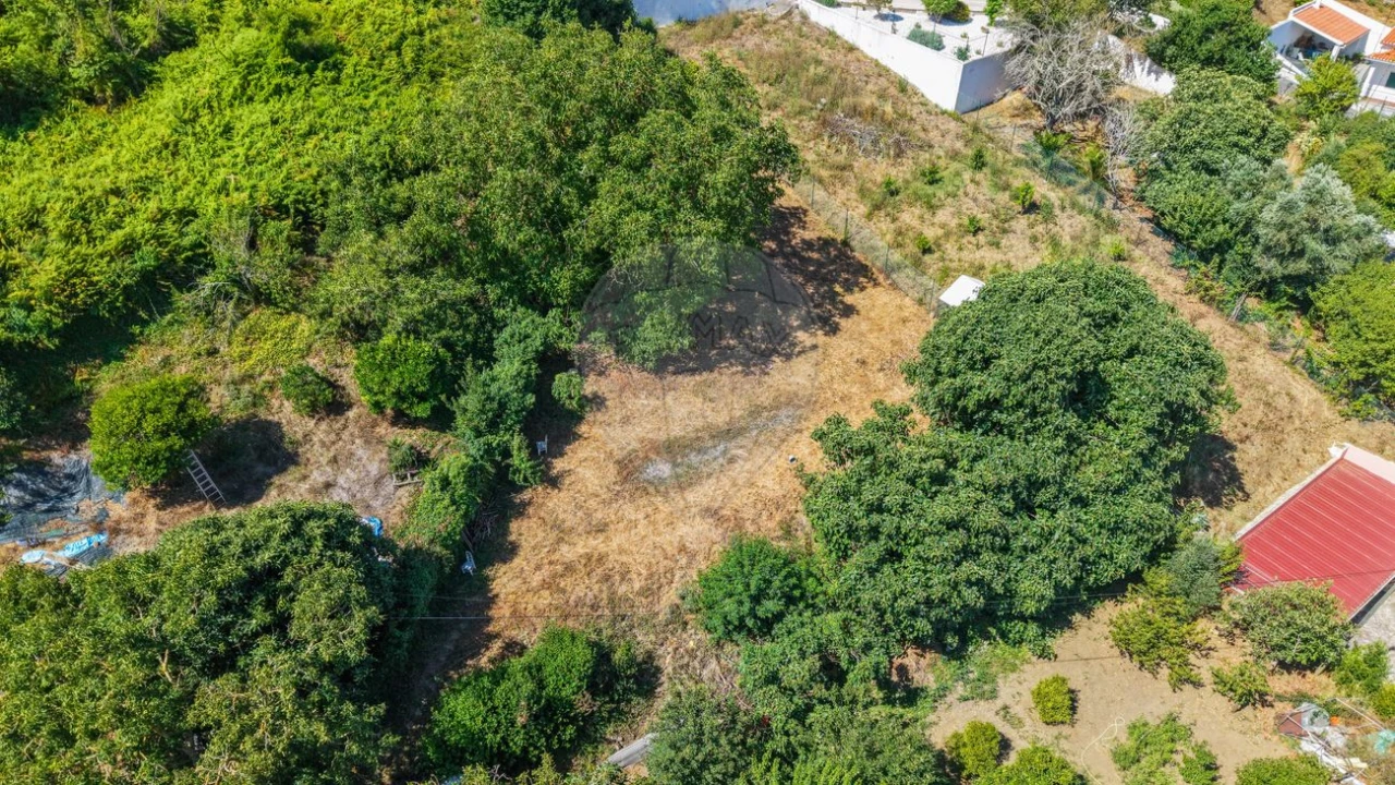 Moradia T2 para Venda em Ribafria e Pereiro de Palhacana Foto 29