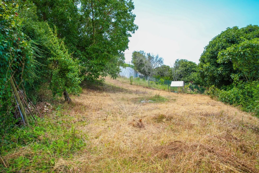 Moradia T2 para Venda em Ribafria e Pereiro de Palhacana Foto 25