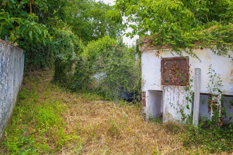 Moradia T2 para Venda em Ribafria e Pereiro de Palhacana Foto 24