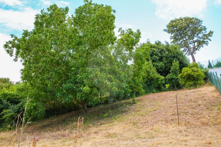 Moradia T2 para Venda em Ribafria e Pereiro de Palhacana Foto 26