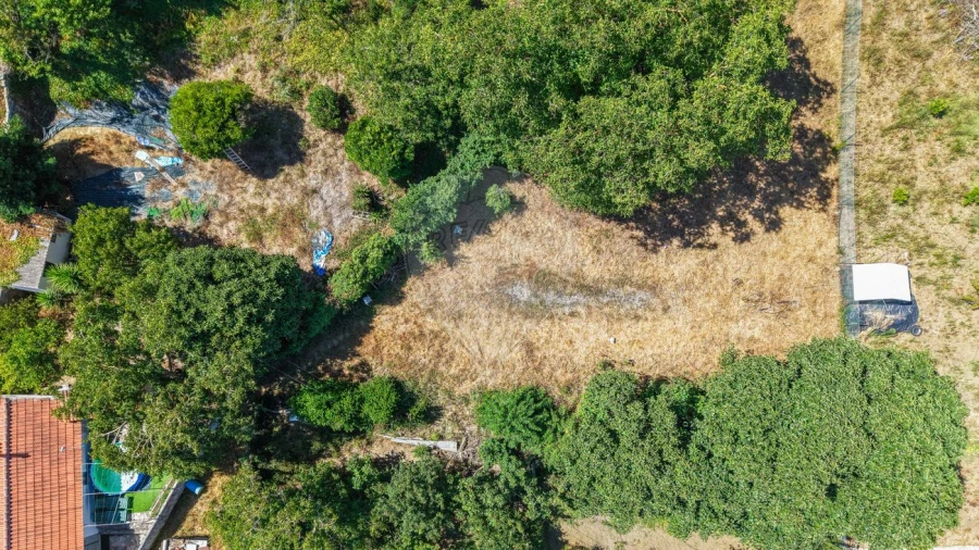Moradia T2 para Venda em Ribafria e Pereiro de Palhacana Foto 28