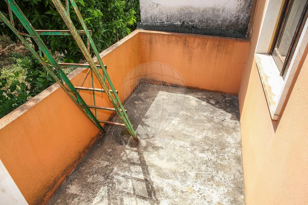 Moradia T2 para Venda em Ribafria e Pereiro de Palhacana Foto 4