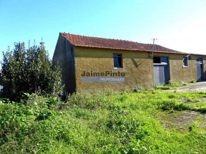Quinta T0 para Venda em Maiorca Foto 1