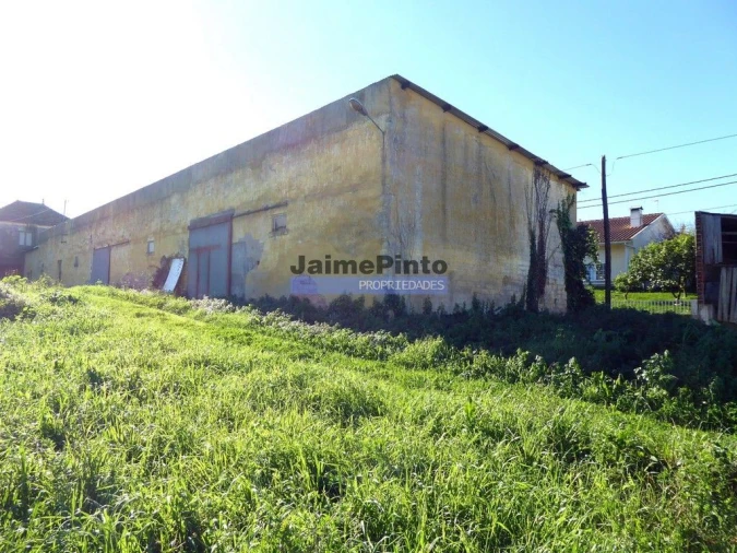Quinta T0 para Venda em Maiorca Foto 3
