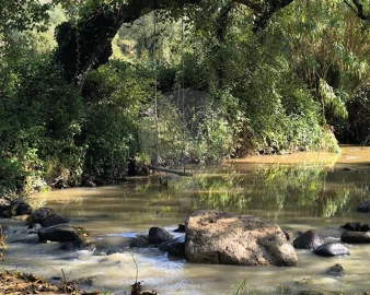 Terreno para Venda em Almargem do Bispo, Pêro Pinheiro e Montelavar