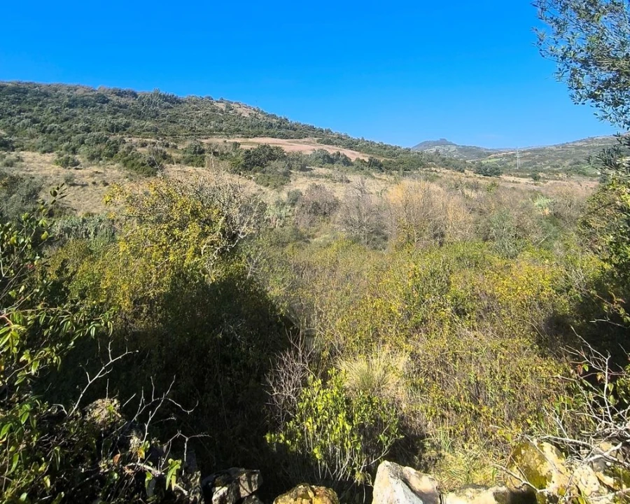 Terreno para Venda em Almargem do Bispo, Pêro Pinheiro e Montelavar Foto 5