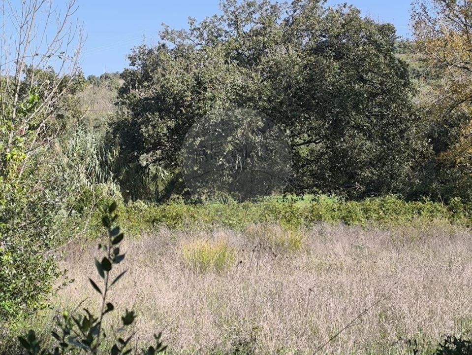 Terreno para Venda em Almargem do Bispo, Pêro Pinheiro e Montelavar Foto 7