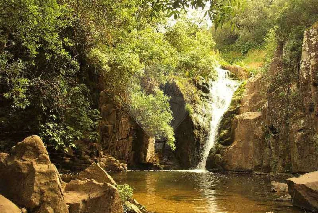 Terreno para Venda em Almargem do Bispo, Pêro Pinheiro e Montelavar Foto 9