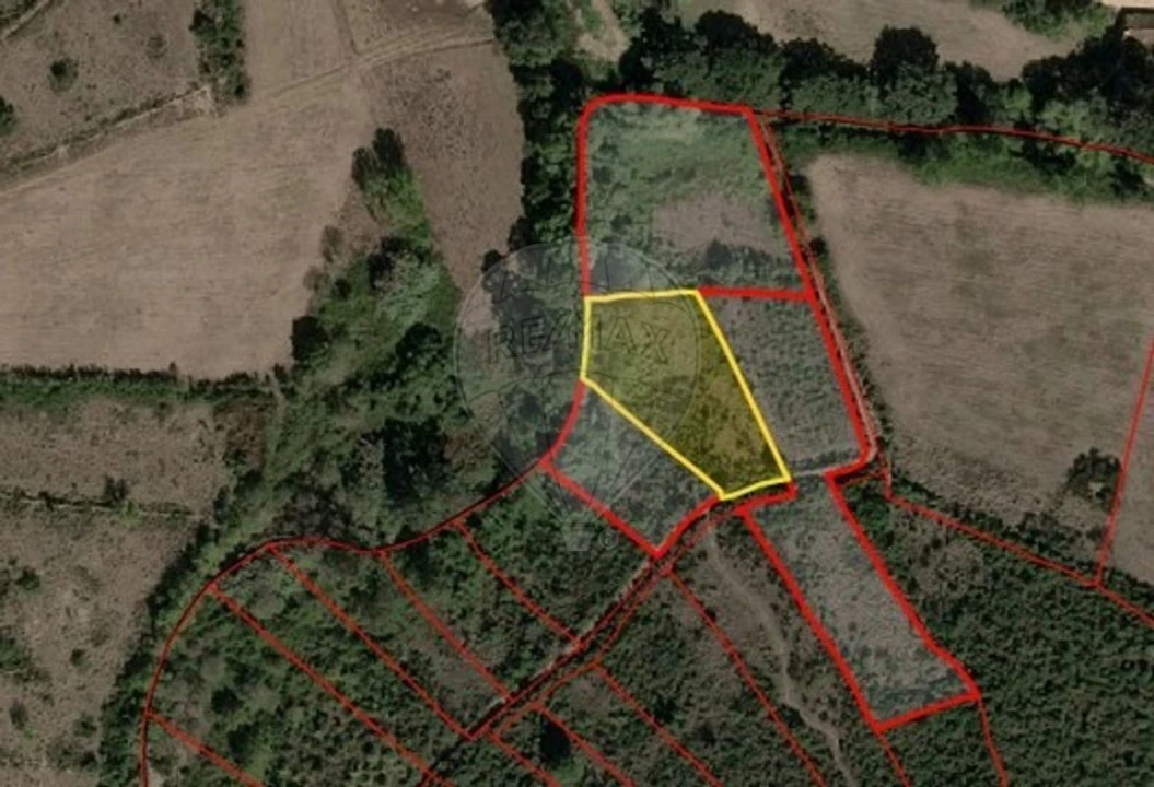 Terreno para Venda em Almargem do Bispo, Pêro Pinheiro e Montelavar Foto 4