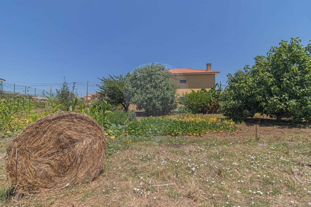 Moradia T4 para Venda em Almargem do Bispo, Pêro Pinheiro e Montelavar Foto 18