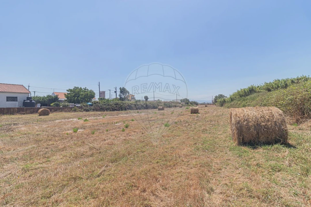 Moradia T4 para Venda em Almargem do Bispo, Pêro Pinheiro e Montelavar Foto 34
