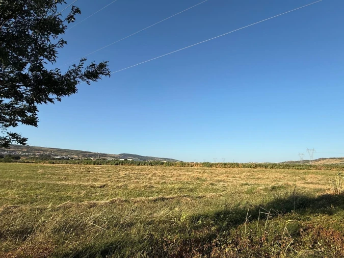 Terreno Agricola ou Rústico para Venda em Santo Antão e São Julião do Tojal Foto 4