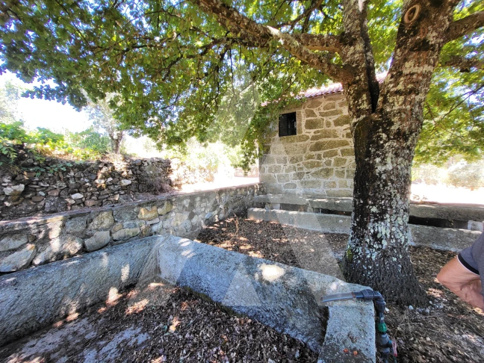 Quinta T1 para Venda em Castelo de Penalva Foto 3