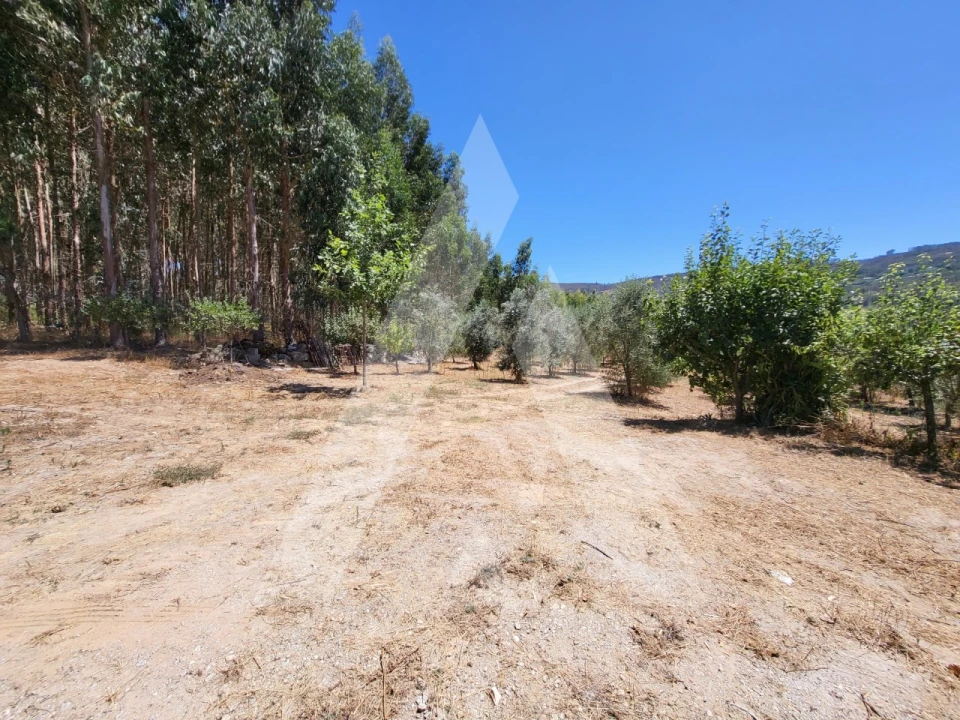 Quinta T1 para Venda em Castelo de Penalva Foto 5