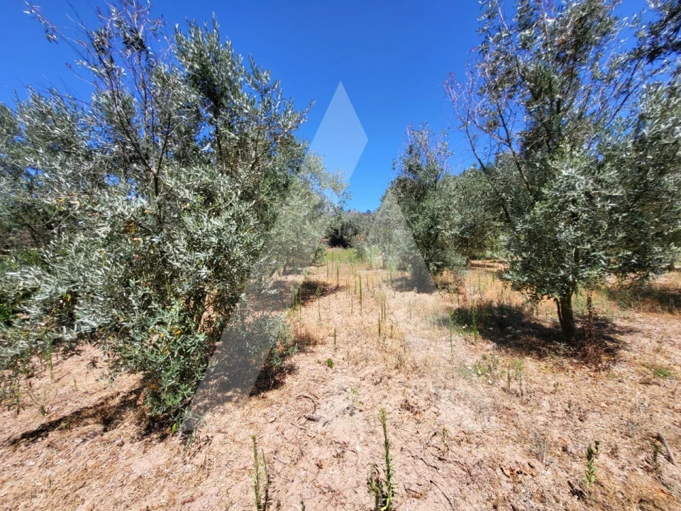 Quinta T1 para Venda em Castelo de Penalva Foto 27