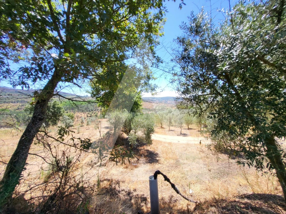 Quinta T1 para Venda em Castelo de Penalva Foto 28