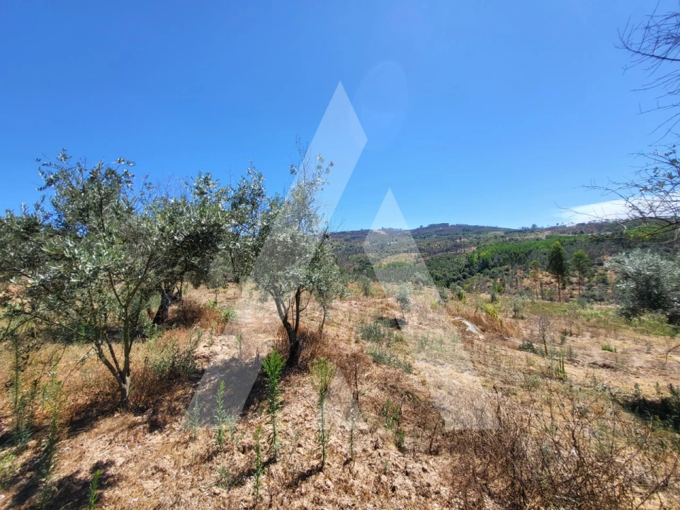 Quinta T1 para Venda em Castelo de Penalva Foto 31