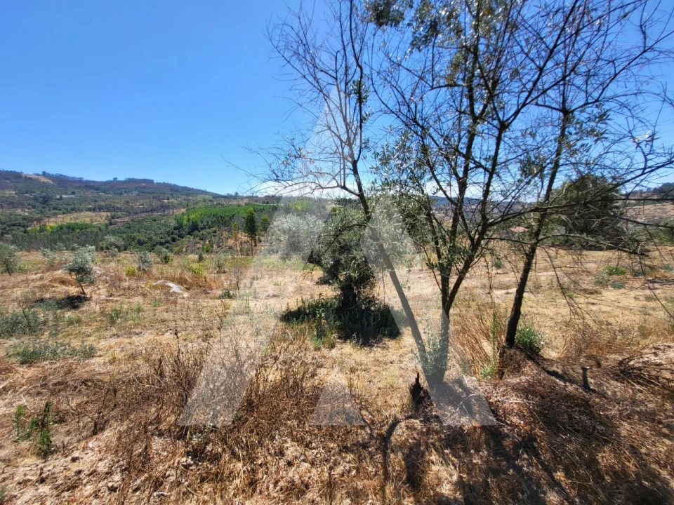 Quinta T1 para Venda em Castelo de Penalva Foto 32