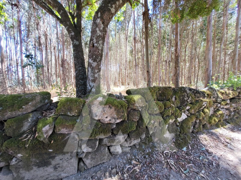 Quinta T1 para Venda em Castelo de Penalva Foto 34