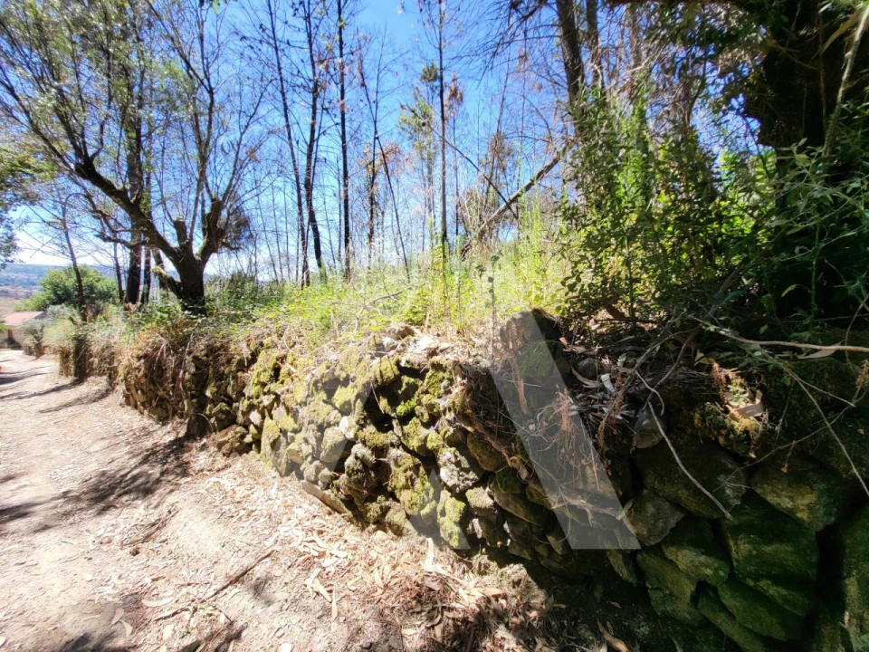 Quinta T1 para Venda em Castelo de Penalva Foto 35