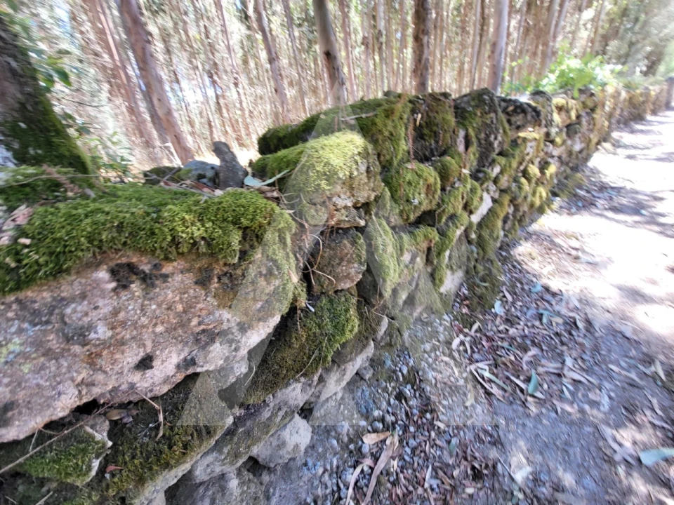 Quinta T1 para Venda em Castelo de Penalva Foto 36