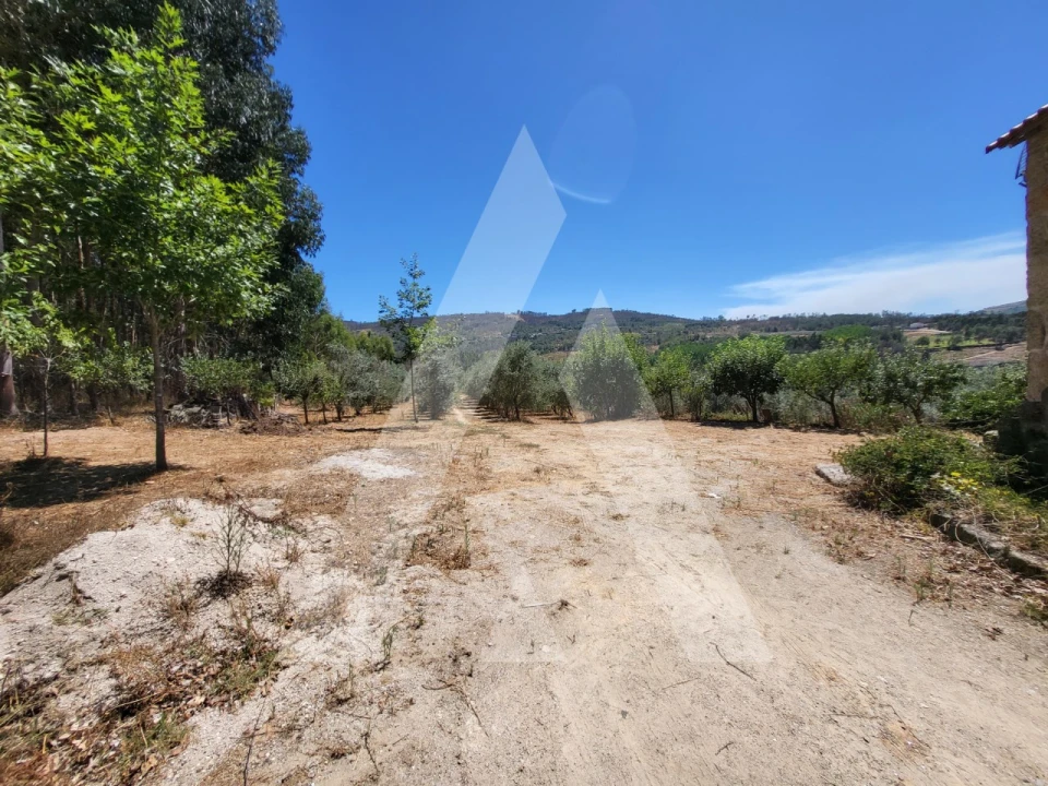 Quinta T1 para Venda em Castelo de Penalva Foto 40