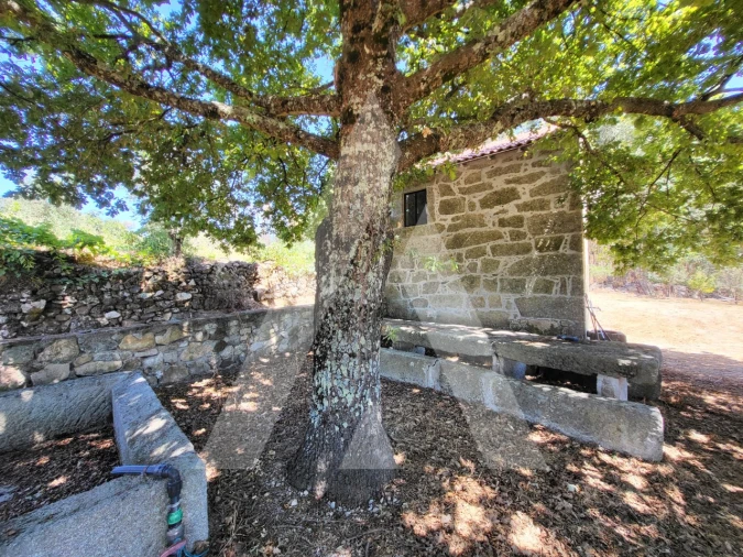 Quinta T1 para Venda em Castelo de Penalva Foto 2