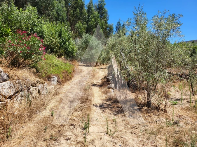 Quinta T1 para Venda em Castelo de Penalva Foto 18