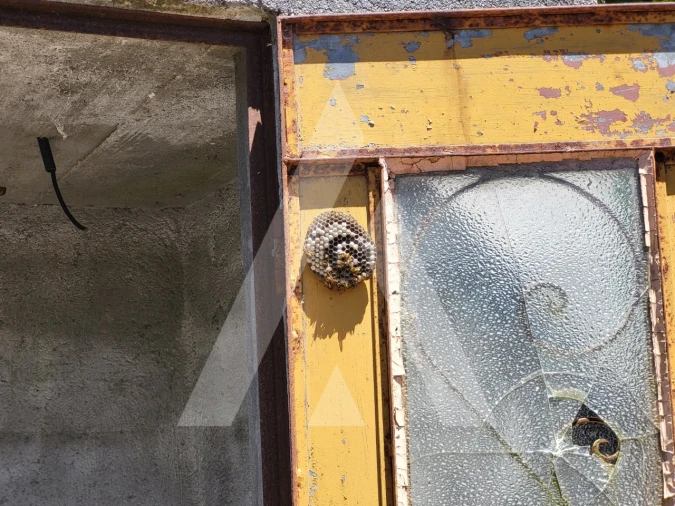 Quinta T1 para Venda em Castelo de Penalva Foto 19