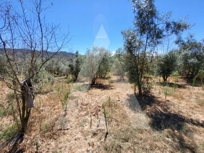 Quinta T1 para Venda em Castelo de Penalva Foto 20