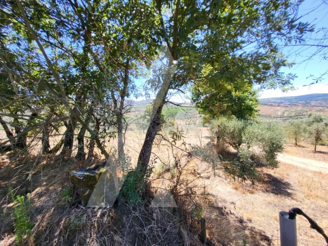 Quinta T1 para Venda em Castelo de Penalva Foto 29