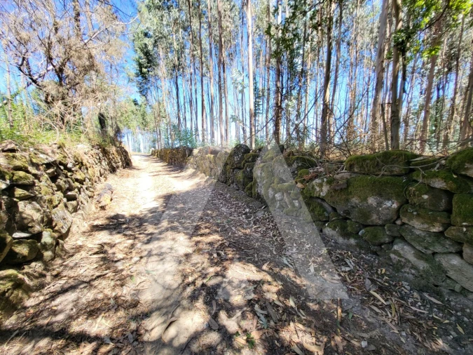 Quinta T1 para Venda em Castelo de Penalva Foto 33