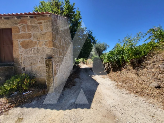 Quinta T1 para Venda em Castelo de Penalva Foto 39