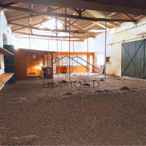 Armazém para Venda em Alpiarça Foto 8