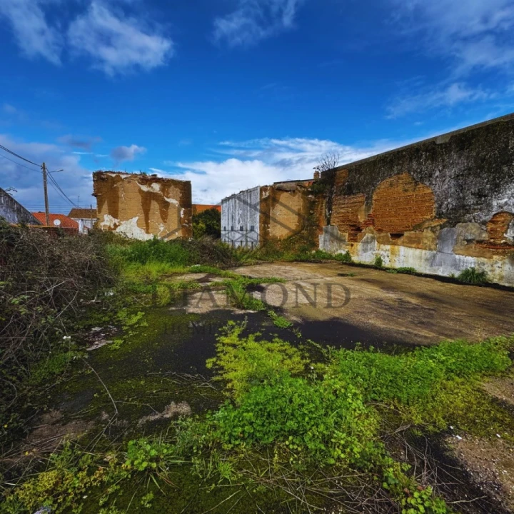 Terreno para Venda em Alpiarça Foto 1