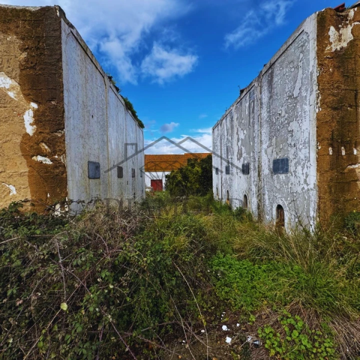 Terreno para Venda em Alpiarça Foto 3