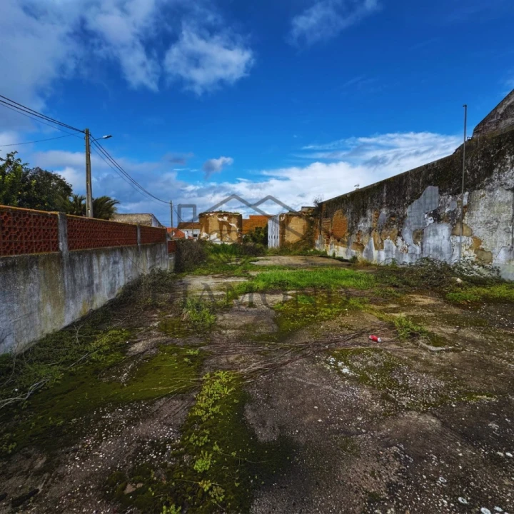 Terreno para Venda em Alpiarça Foto 5