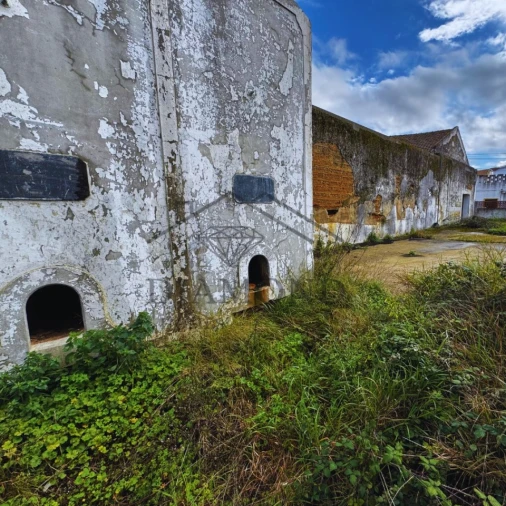 Terreno para Venda em Alpiarça Foto 4
