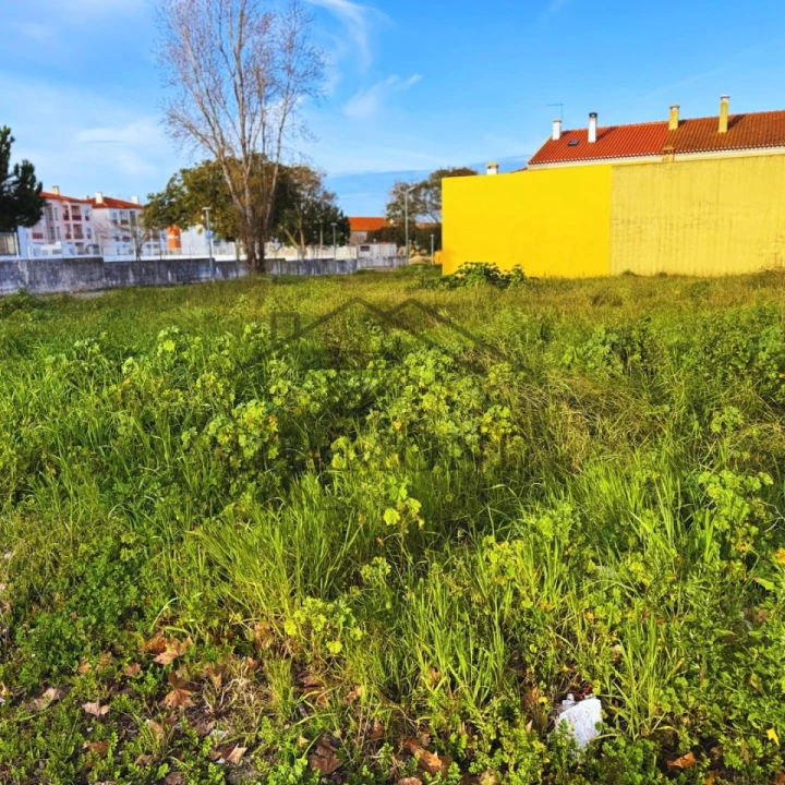 Terreno para Venda em Almeirim Foto 3