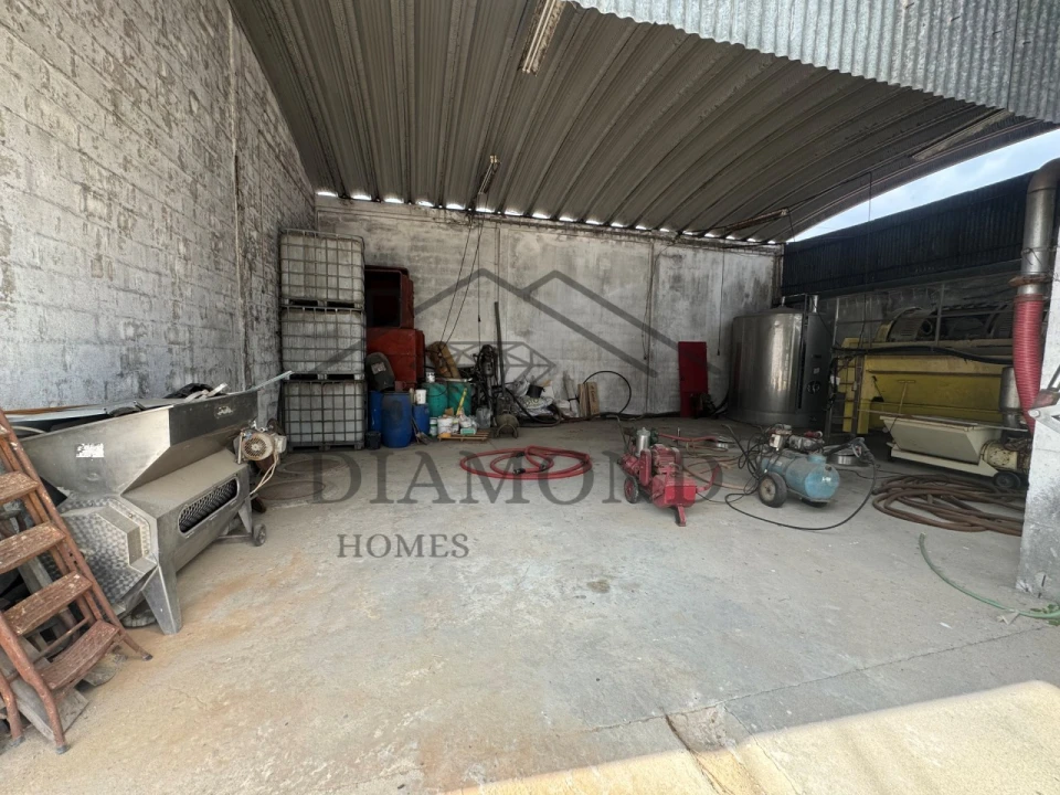 Negócio para Venda em Fazendas de Almeirim Foto 10