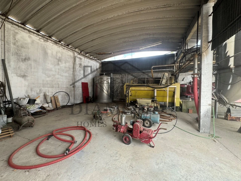 Negócio para Venda em Fazendas de Almeirim Foto 11