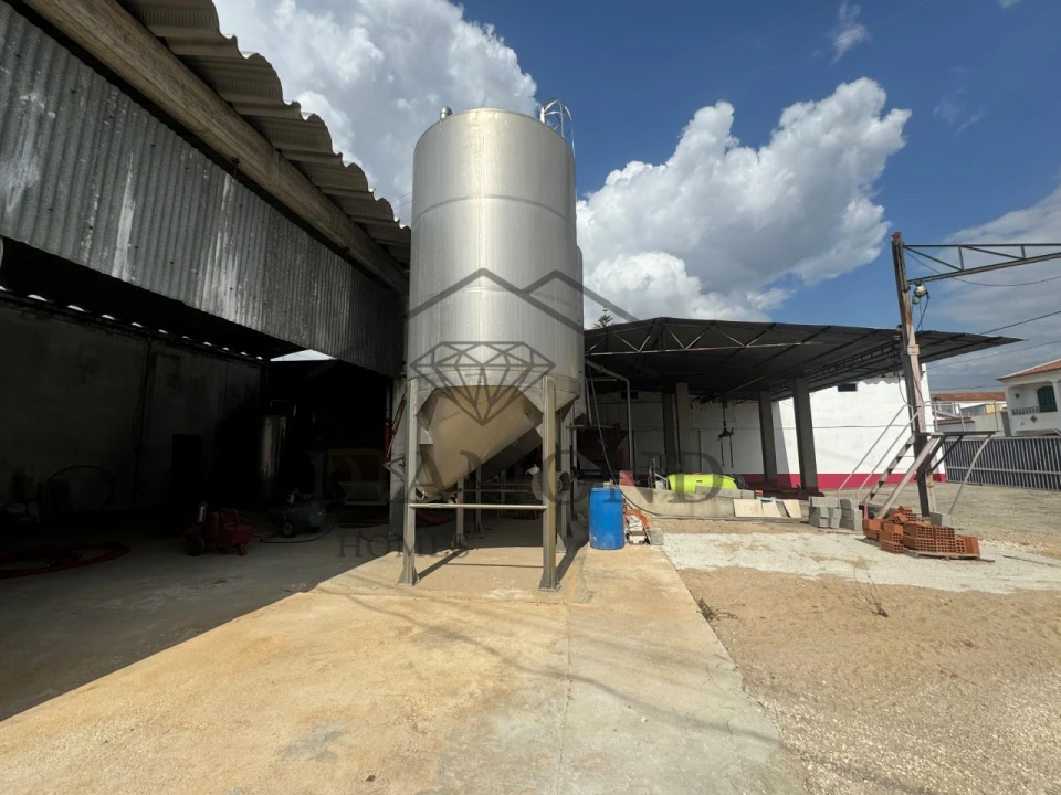 Negócio para Venda em Fazendas de Almeirim Foto 13