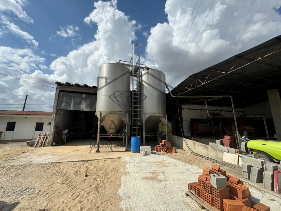 Negócio para Venda em Fazendas de Almeirim Foto 14