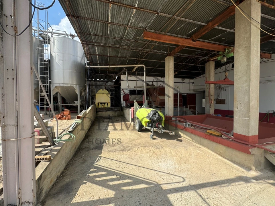 Negócio para Venda em Fazendas de Almeirim Foto 15